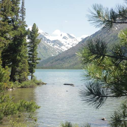 Photo #11239409