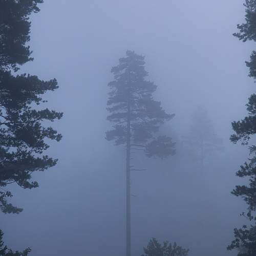 Photo #11239696