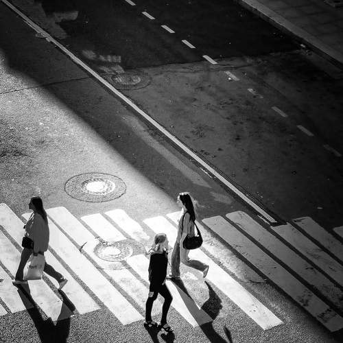 Photo #11239831