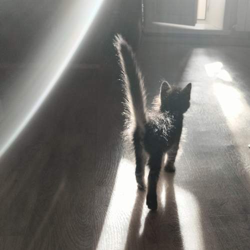 Photo #11239843