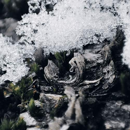 Photo #11239926