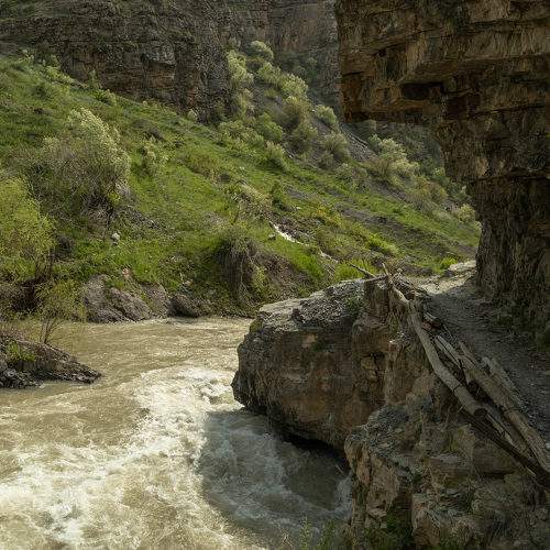 Photo #11240108