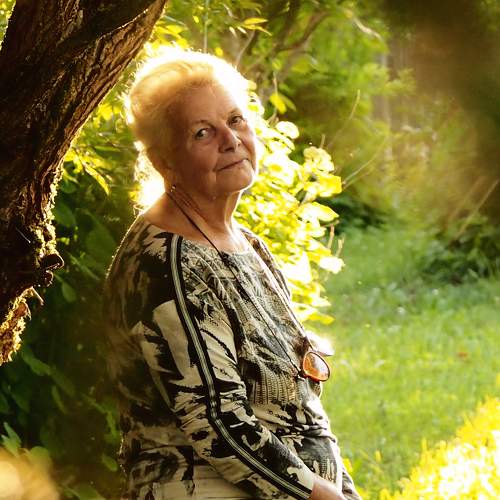 Photo #11240315