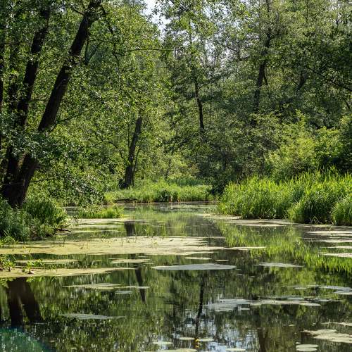 Photo #11240415