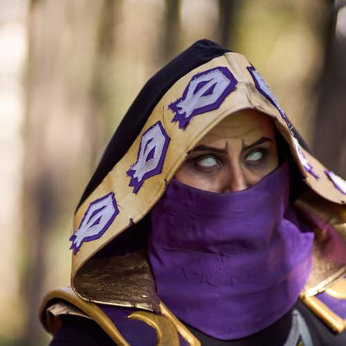 Photo #11240482