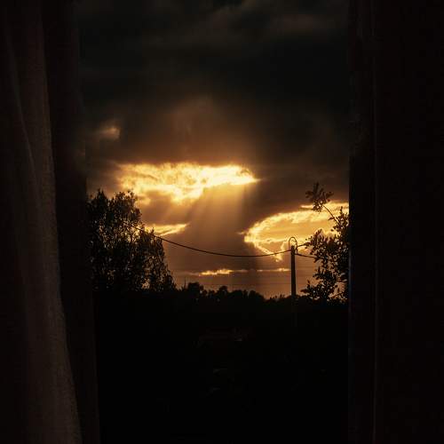 Photo #11240522