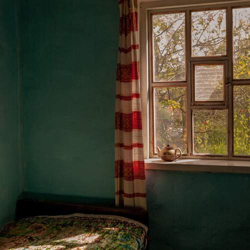 Photo #11240560