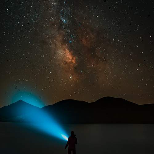 Photo #11240848