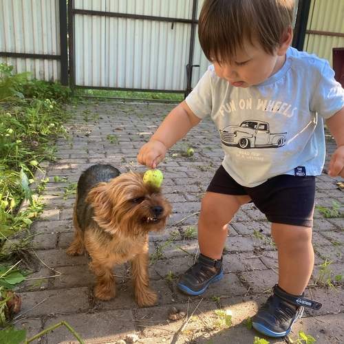 Photo #11240977