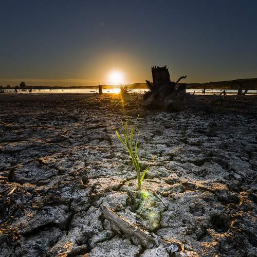 Photo #11241065