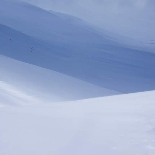 Photo #11241282