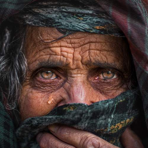 Photo #11241304