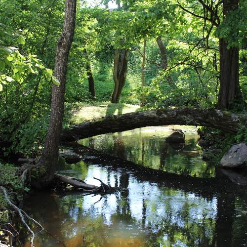 Photo #11241350