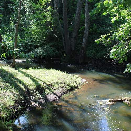 Photo #11241351