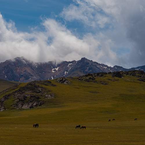 Photo #11241432