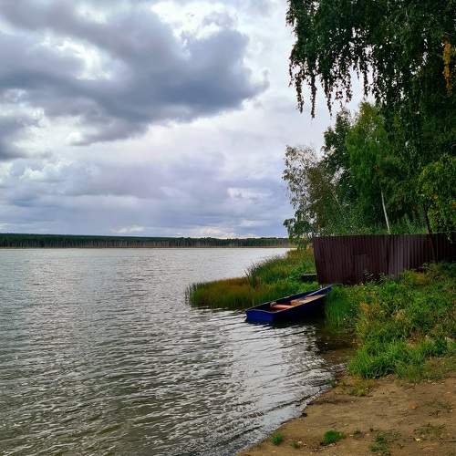 Photo #11241558