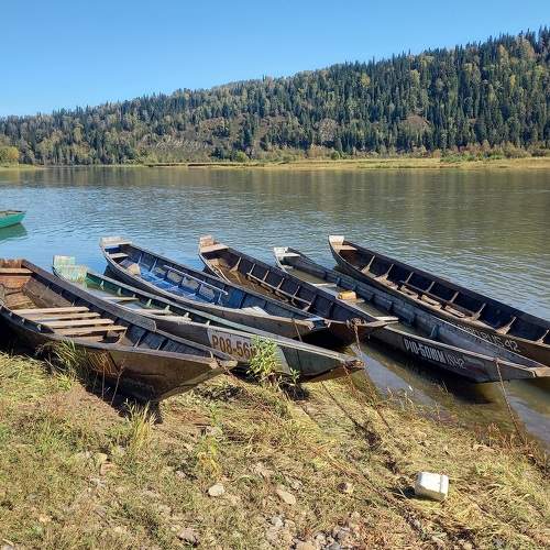 Photo #11241843
