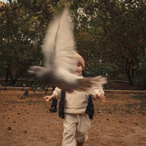 Photo #11241875