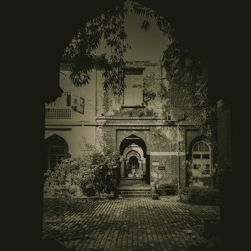 Photo #11242065