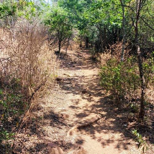 Photo #11242089