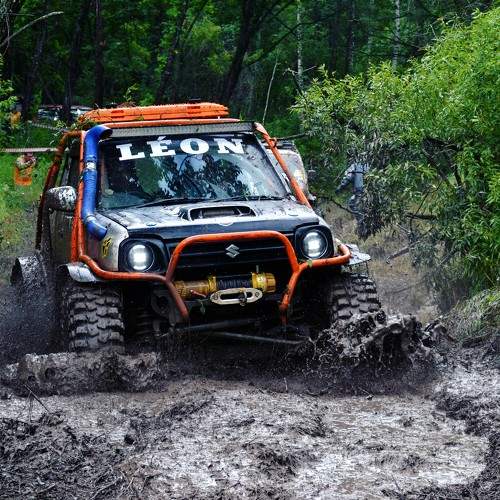 Photo #11242116
