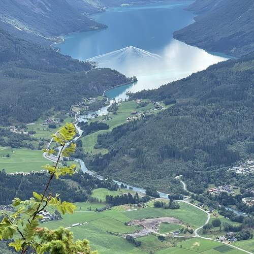 Photo #11242128