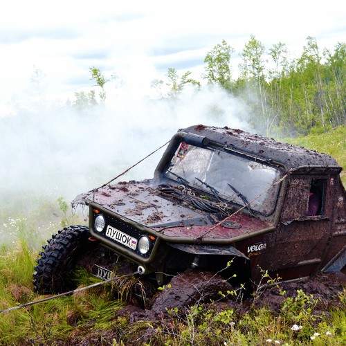 Photo #11242199