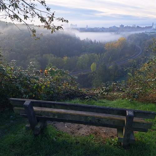 Photo #11242471