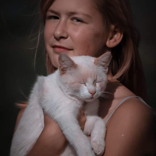 Photo #11242617