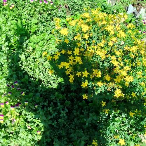 Photo #11242620