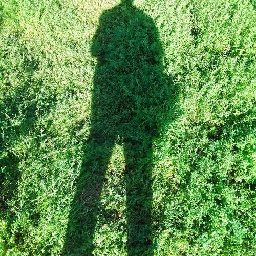Photo #11242668