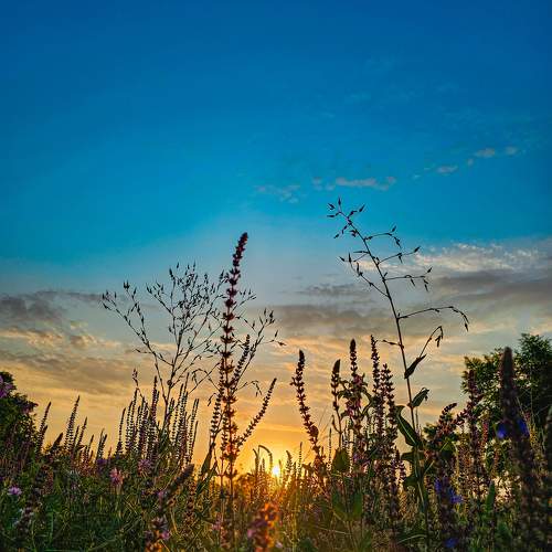Photo #11242786