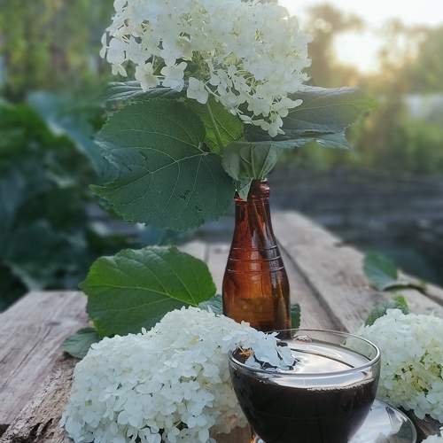 Photo #11242800