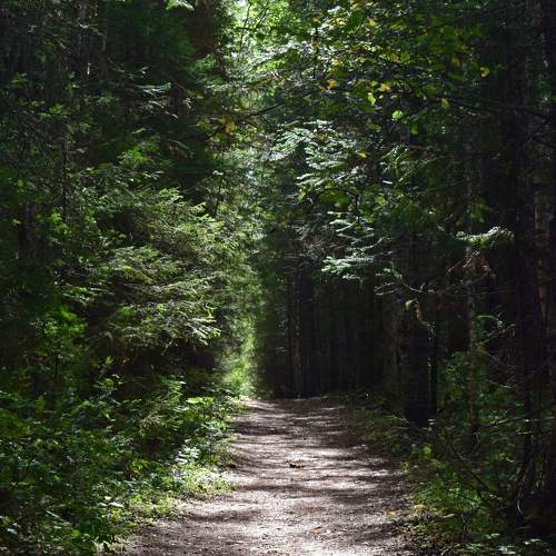 Photo #11242842