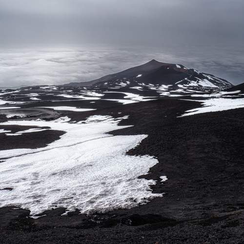 Photo #11242920