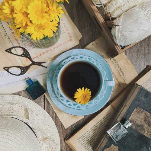 Photo #11243049