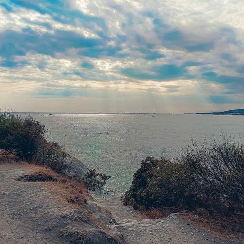 Photo #11243158