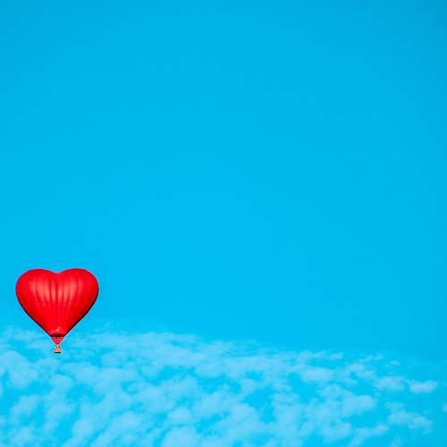 Photo #11243359