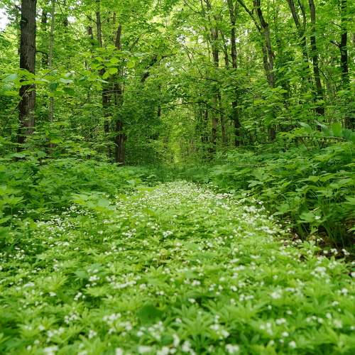 Photo #11243790