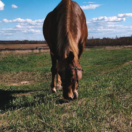Photo #11243953