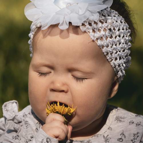 Photo #11244027