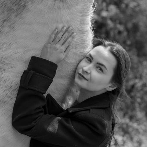 Photo #11244032