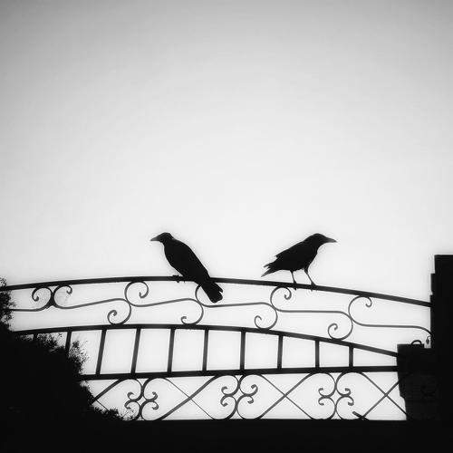 Photo #11244453