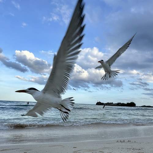 Photo #11244657