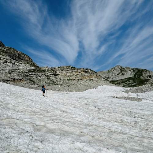 Photo #11244674
