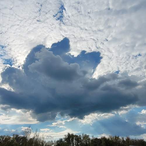 Photo #11244822