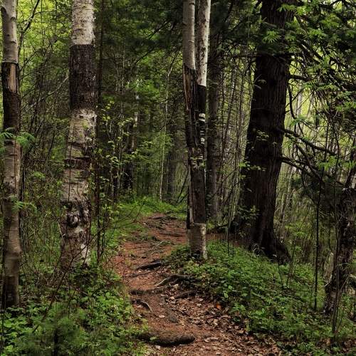 Photo #11244945