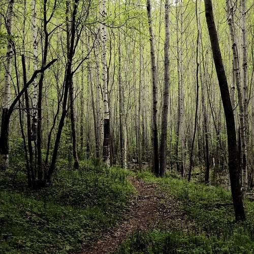 Photo #11244946
