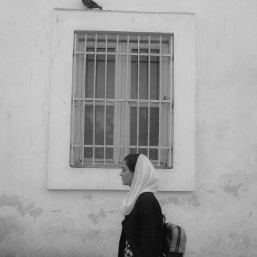 Photo #11244968