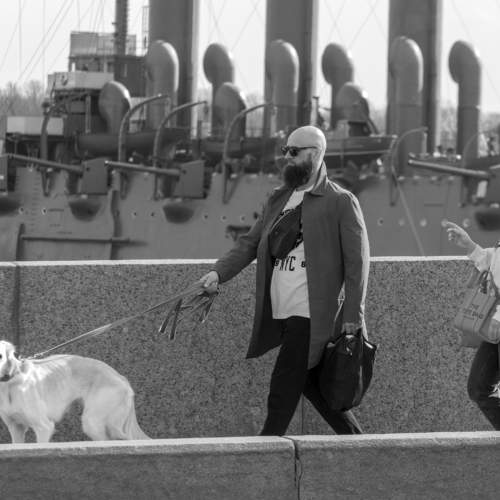Photo #11245317
